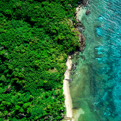 Why Vegan and Cruelty-Free Beauty Products Matter: A Commitment to Compassion and Quality